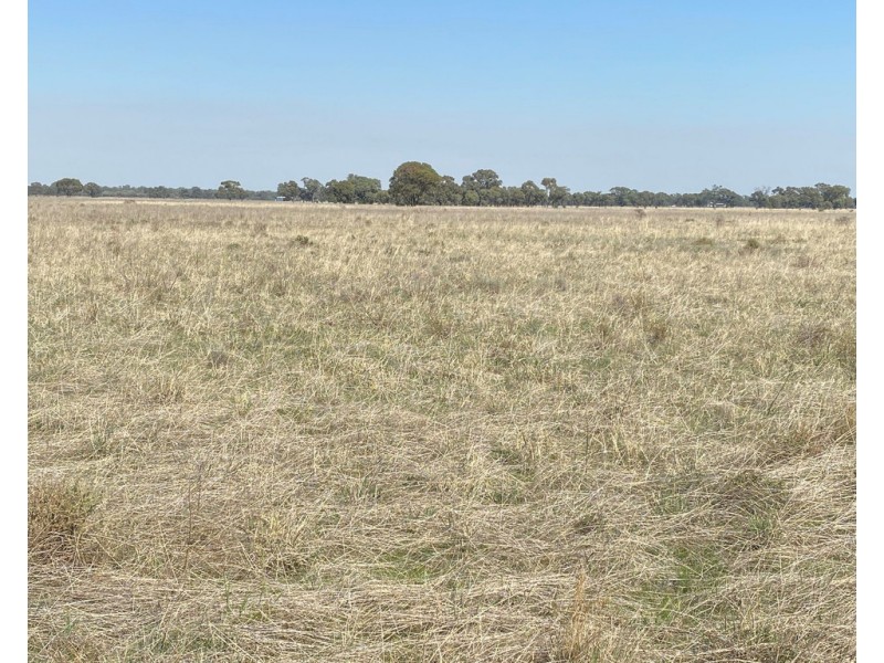 Lot 2 and 3 Lawrence Road, Deniliquin NSW 2710