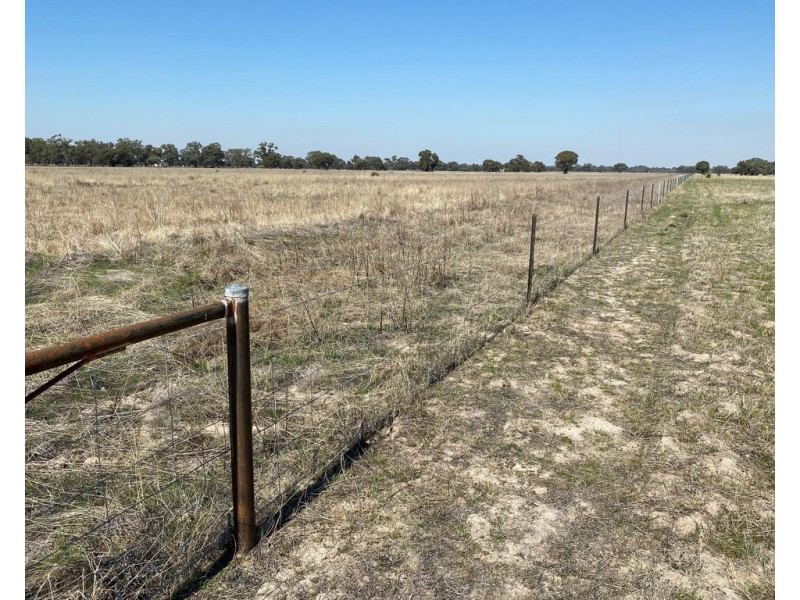 Lot 2 and 3 Lawrence Road, Deniliquin NSW 2710