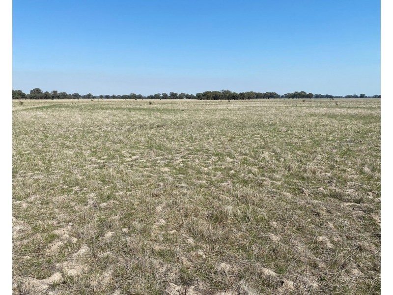 Lot 2 and 3 Lawrence Road, Deniliquin NSW 2710