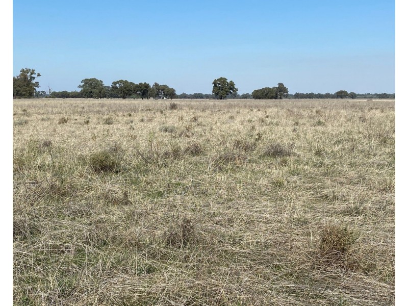 Lot 2 and 3 Lawrence Road, Deniliquin NSW 2710