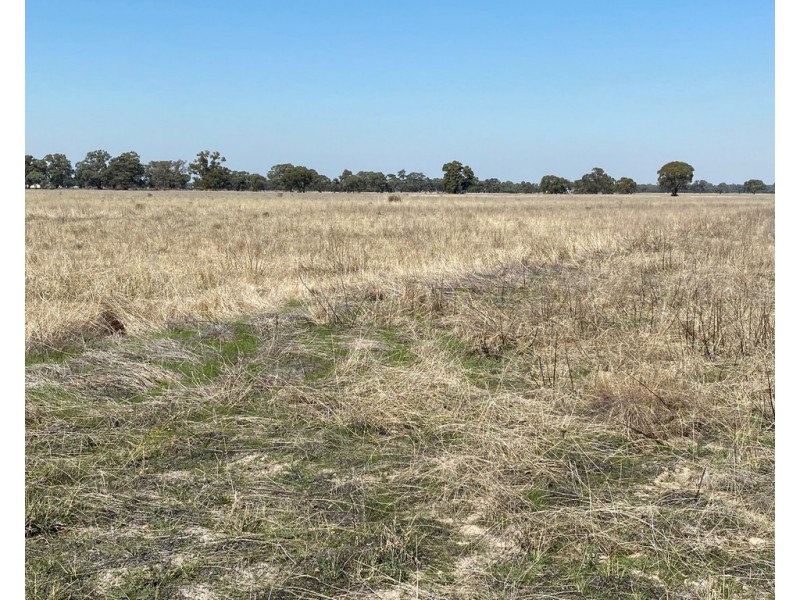 Lot 2 and 3 Lawrence Road, Deniliquin NSW 2710