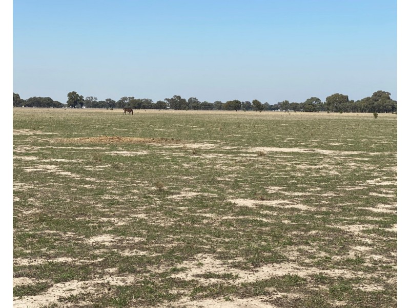 Lot 2 and 3 Lawrence Road, Deniliquin NSW 2710