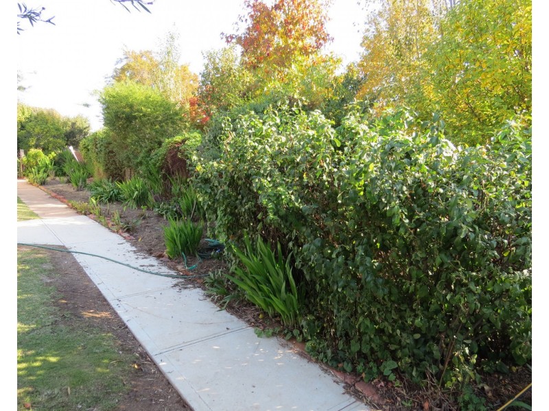 48-50 MAHONGA STREET, Jerilderie NSW 2716