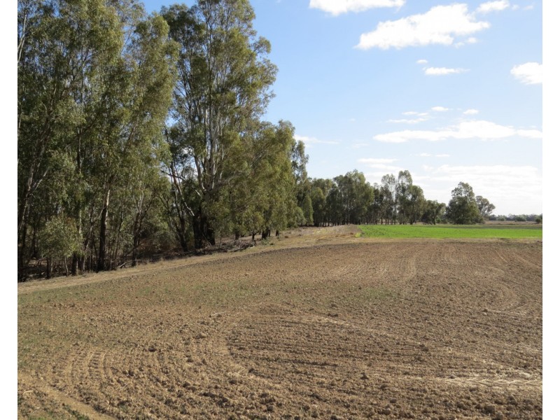 1751 KOONDROOK-MURRABIT ROAD, Murrabit VIC 3579