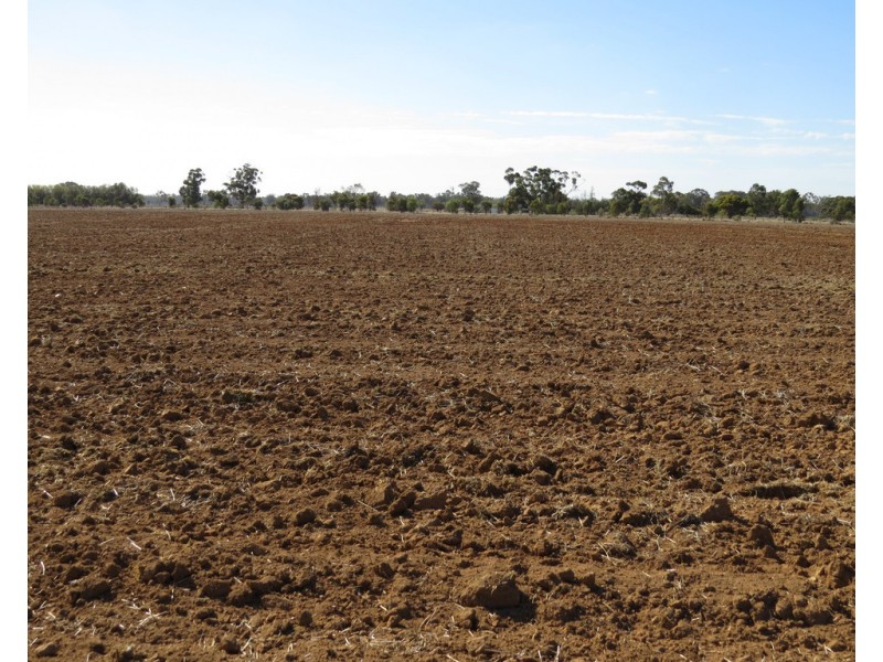 1751 KOONDROOK-MURRABIT ROAD, Murrabit VIC 3579