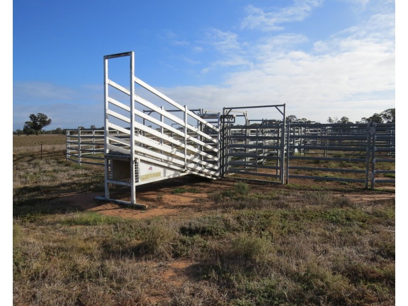 131 Birganbigil Road, Deniliquin NSW 2710