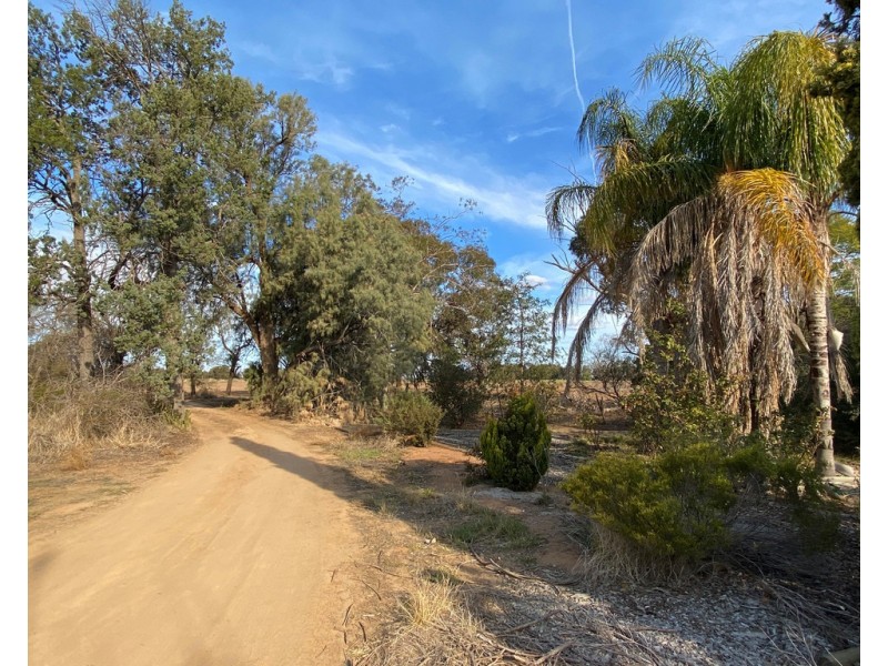 131 Birganbigil Road, Deniliquin NSW 2710
