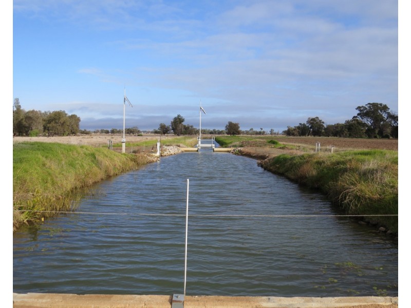 131 Birganbigil Road, Deniliquin NSW 2710