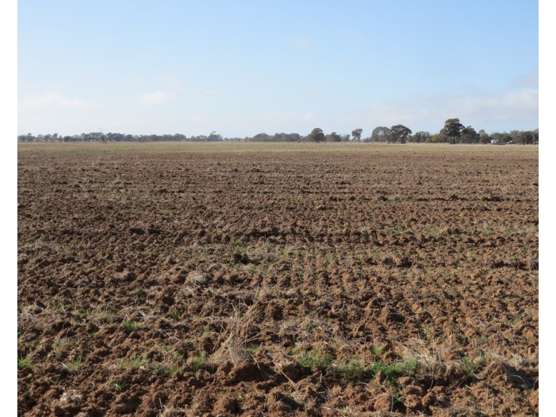 131 Birganbigil Road, Deniliquin NSW 2710