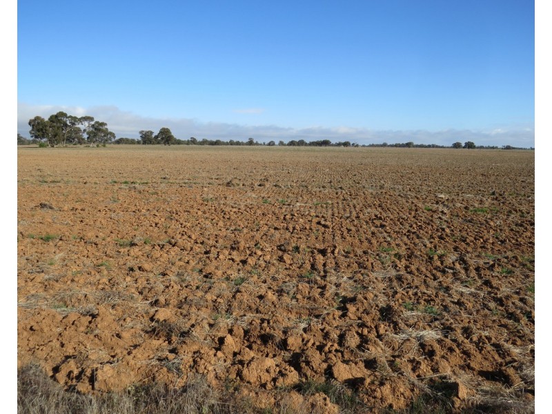 131 Birganbigil Road, Deniliquin NSW 2710