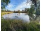 131 Birganbigil Road, Deniliquin NSW 2710