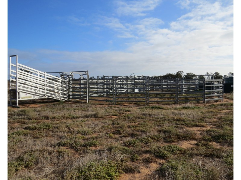 131 Birganbigil Road, Deniliquin NSW 2710