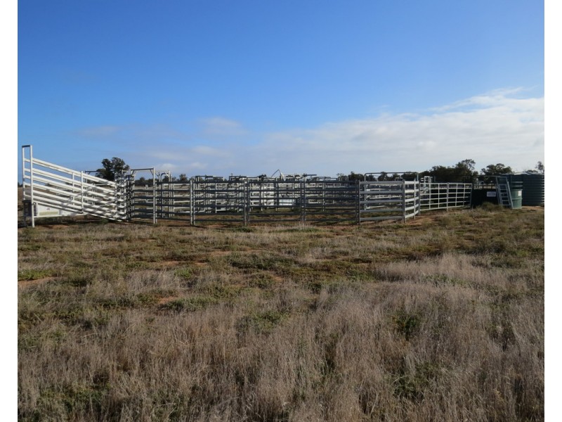 131 Birganbigil Road, Deniliquin NSW 2710