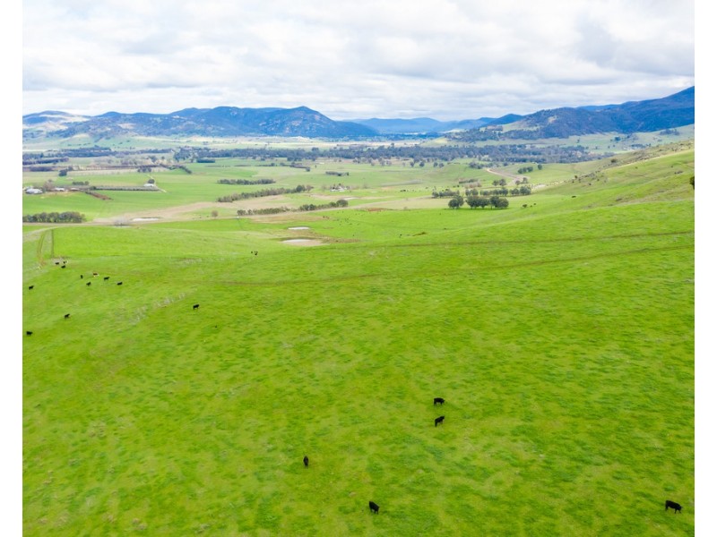 316 RIVER ROAD, Welaregang NSW 2642