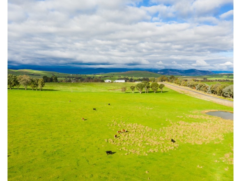 316 RIVER ROAD, Welaregang NSW 2642