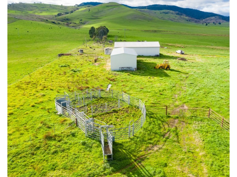 316 RIVER ROAD, Welaregang NSW 2642