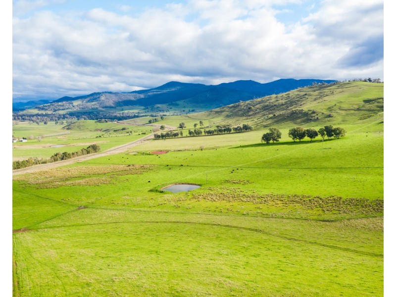 316 RIVER ROAD, Welaregang NSW 2642