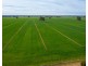 Wakool NSW 2710