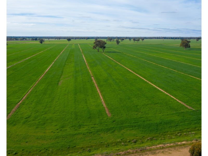 Wakool NSW 2710