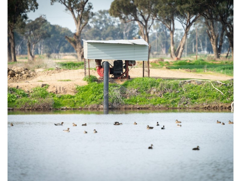 Wakool NSW 2710