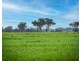 Wakool NSW 2710