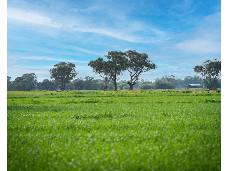 Wakool NSW 2710