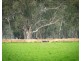 Wakool NSW 2710