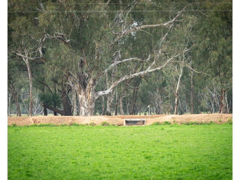 Wakool NSW 2710