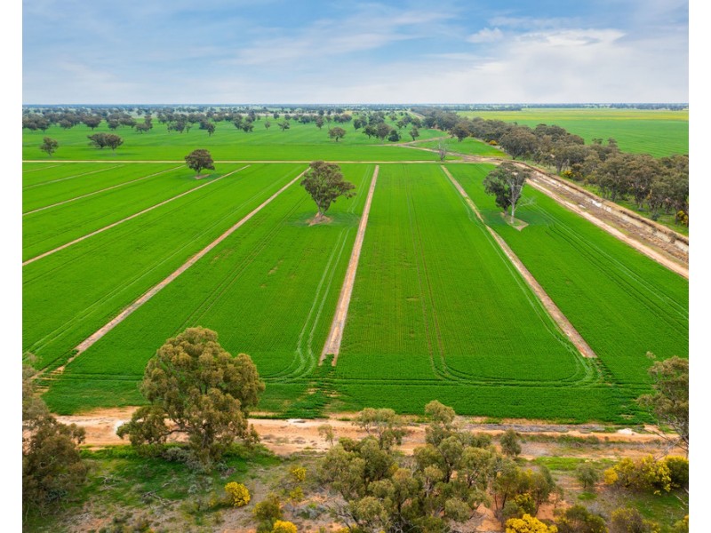 1513 CENTRE ROAD, Moama NSW 2731