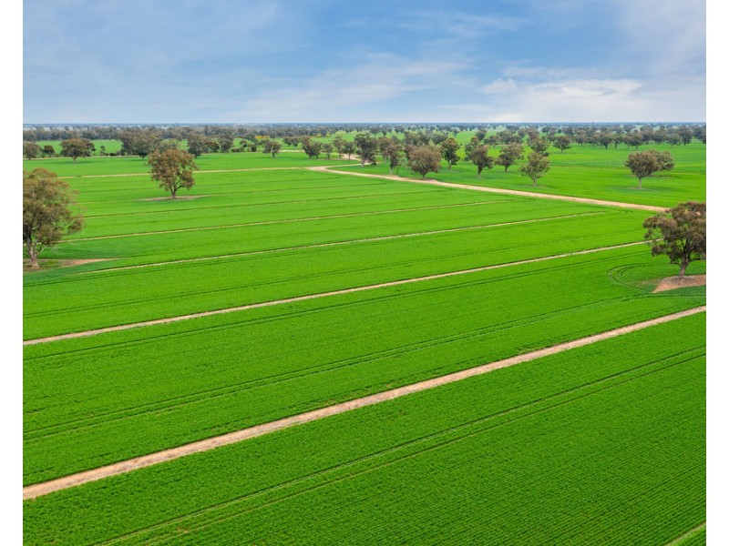 1513 CENTRE ROAD, Moama NSW 2731