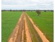 1513 CENTRE ROAD, Moama NSW 2731