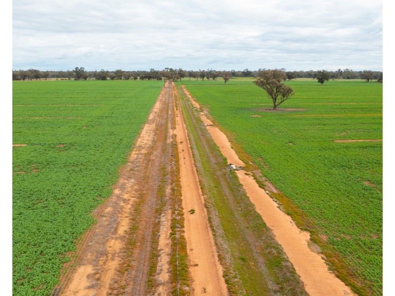 1513 CENTRE ROAD, Moama NSW 2731