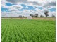 1513 CENTRE ROAD, Moama NSW 2731
