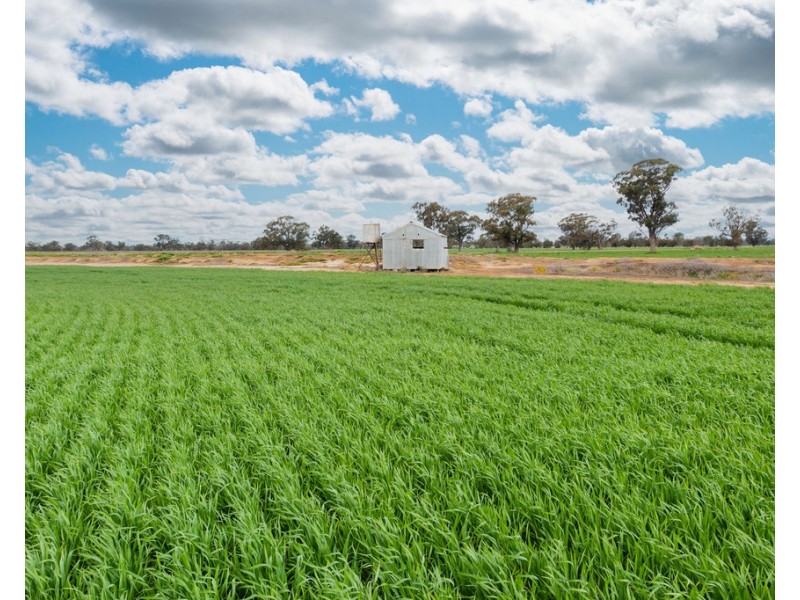 1513 CENTRE ROAD, Moama NSW 2731
