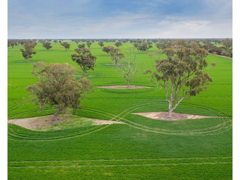 1513 CENTRE ROAD, Moama NSW 2731