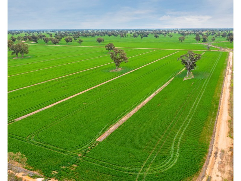 1513 CENTRE ROAD, Moama NSW 2731