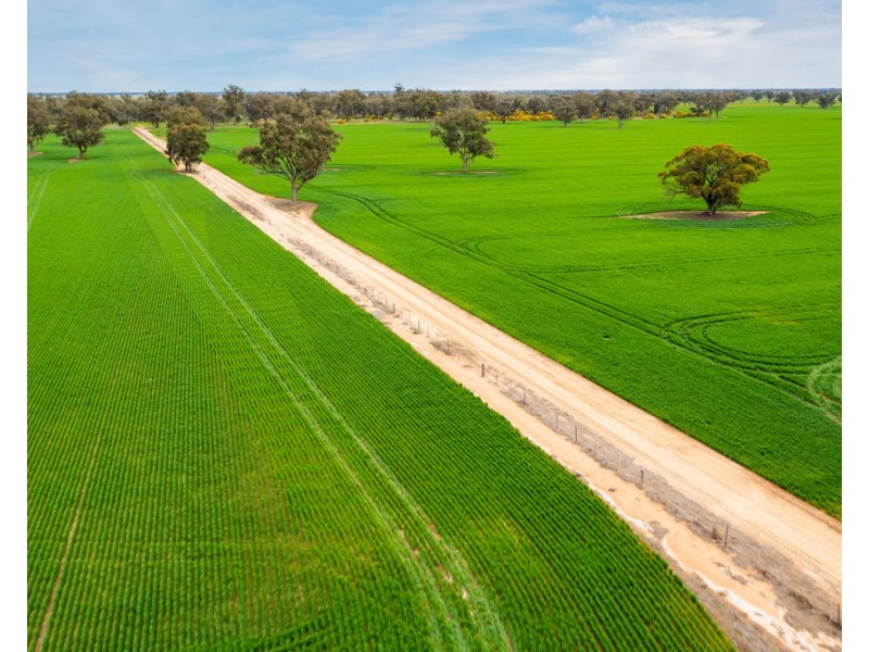 1513 CENTRE ROAD, Moama NSW 2731