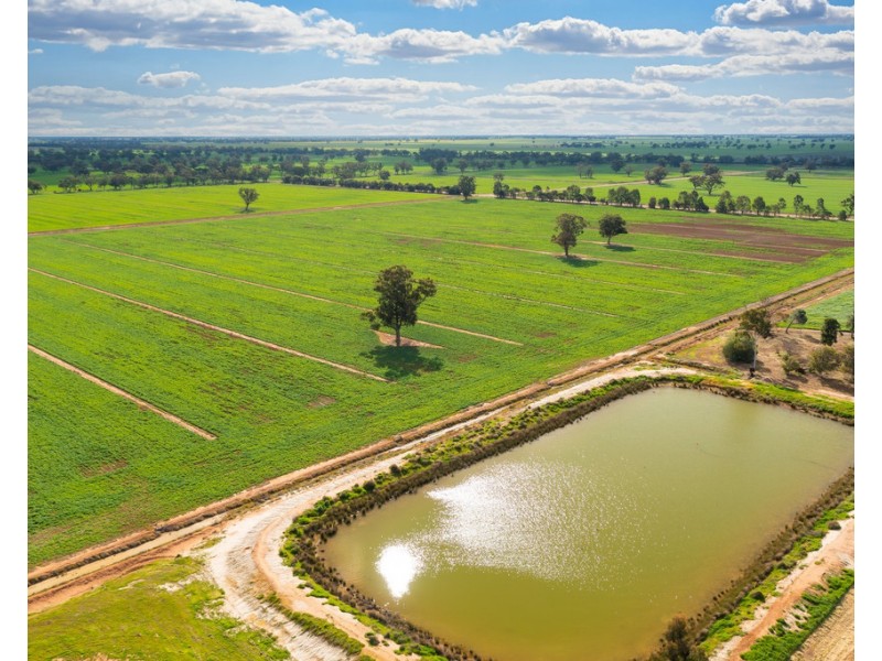 1513 CENTRE ROAD, Moama NSW 2731