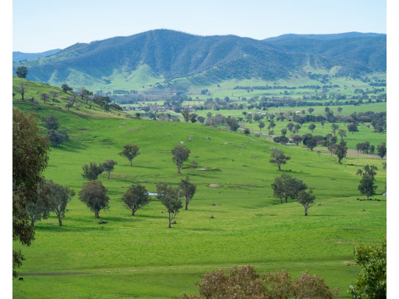 1985 Cudgewa Bluff Road, Walwa VIC 3709