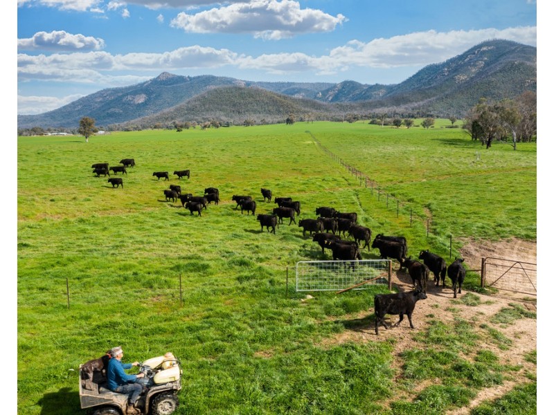 1985 Cudgewa Bluff Road, Walwa VIC 3709