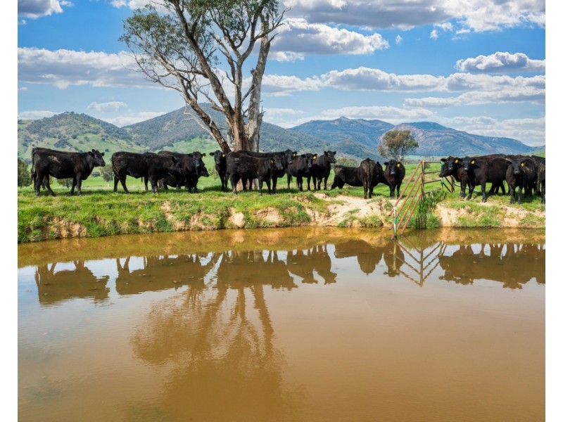 1985 Cudgewa Bluff Road, Walwa VIC 3709