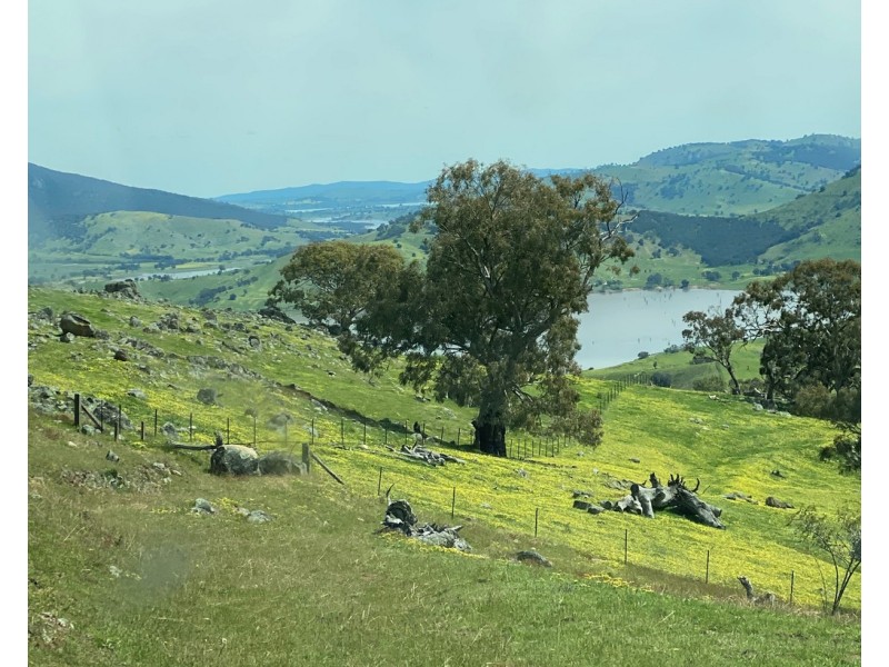 ”BARCOO” Stockyard Creek Track, Thologolong VIC 3691