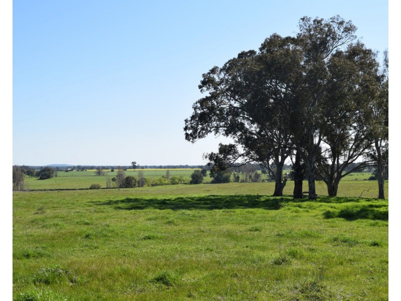 360 Methodist Road, Bungowannah NSW 2640