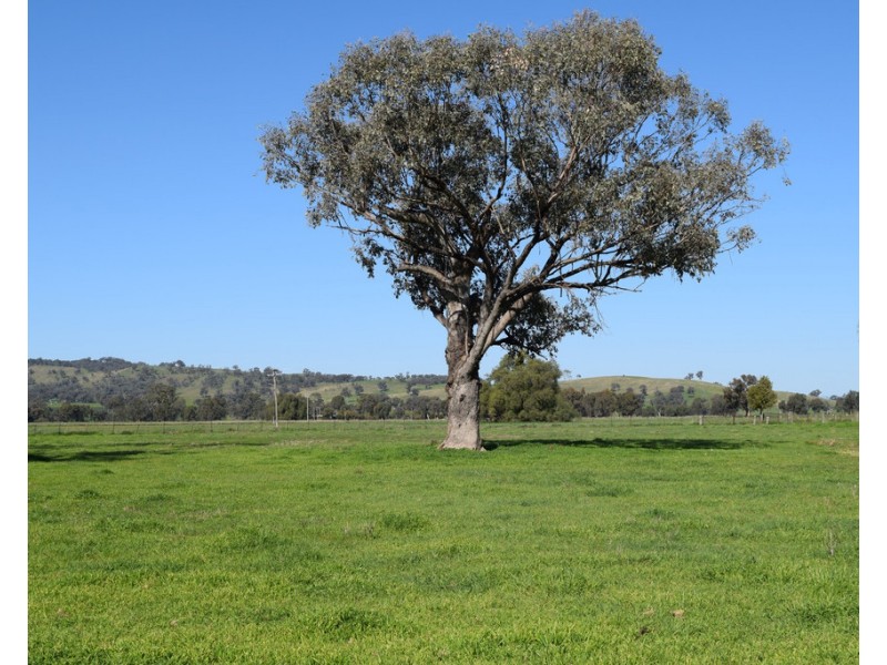 360 Methodist Road, Bungowannah NSW 2640