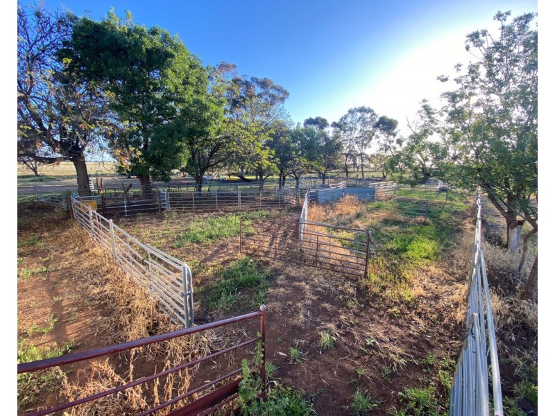 14 YALOKE ROAD, Deniliquin NSW 2710