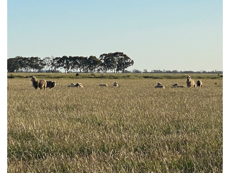 14 YALOKE ROAD, Deniliquin NSW 2710