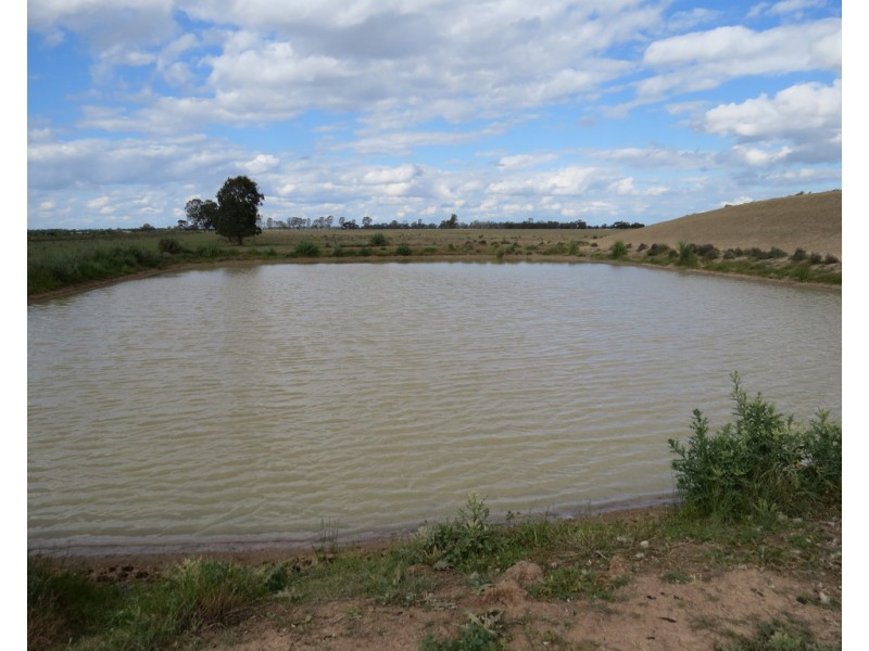 14 YALOKE ROAD, Deniliquin NSW 2710