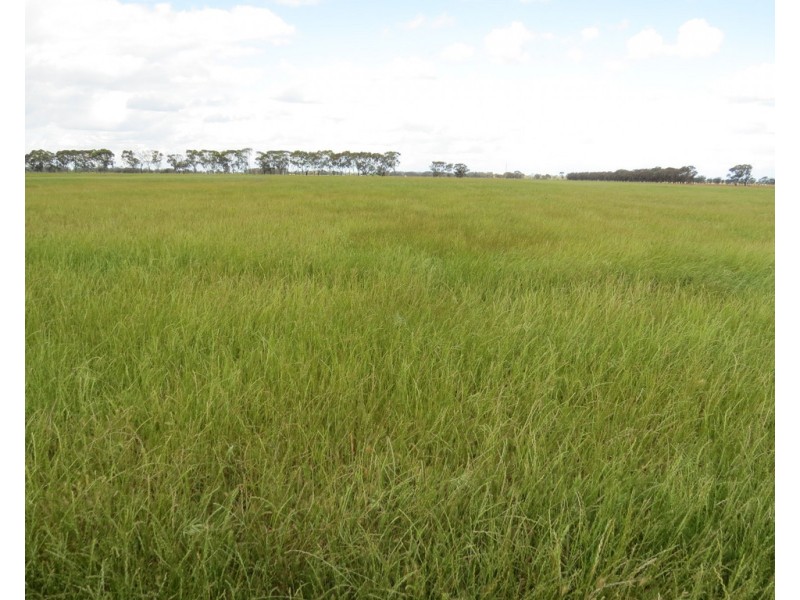 14 YALOKE ROAD, Deniliquin NSW 2710