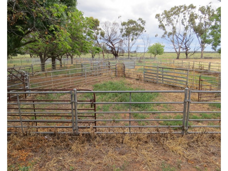 14 YALOKE ROAD, Deniliquin NSW 2710