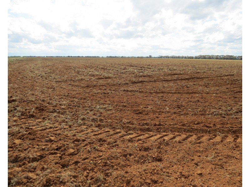 14 YALOKE ROAD, Deniliquin NSW 2710